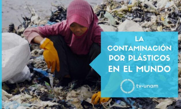 La contaminación por plásticos en el mundo