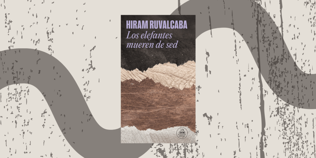 Cuando el amor deja de ser un contrato: Iram Rubalcava y las preguntas detrás de Los elefantes mueren de sed