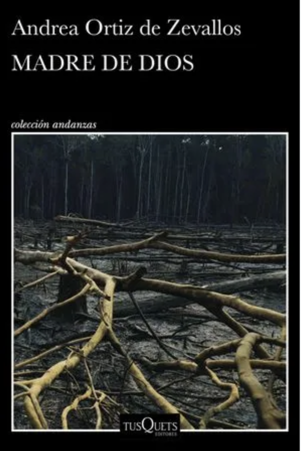 Captura de Pantalla 2024-11-12 a la(s) 13.39.04