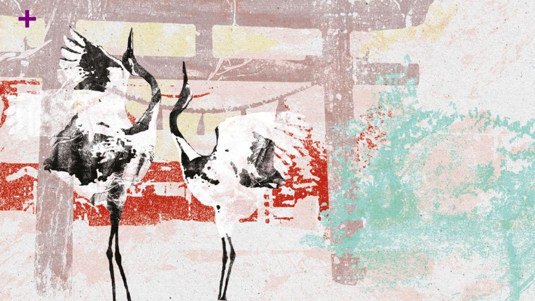 Nicolas Lacombe: el artista que dibuja con cinta adhesiva