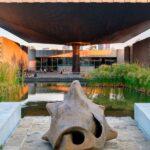 Ecos de clavicordios en el Museo: Vivaldi, Mozart y más bajo el cielo de junio