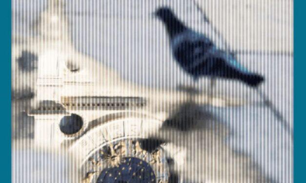 Cinco razones para dejarse atrapar por “Lo que no será”, la primera novela de Antonio López Palacios