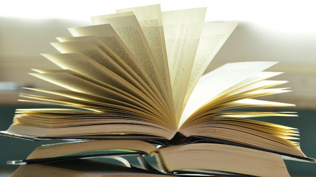 7 libros para regresar a clases con buenas ideas