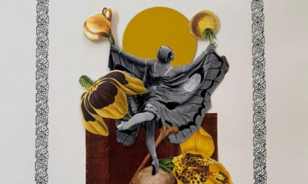 Reconstrucciones del sentido común: el universo collage de Sofía Grivás