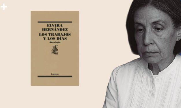 Elvira Hernández: la insurrección de lo cotidiano desde la periferia de conciencia