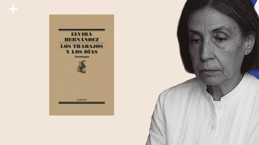 Elvira Hernández: la insurrección de lo cotidiano desde la periferia de conciencia