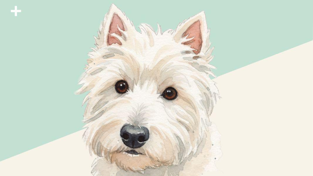 Perros y literatura: una elegía