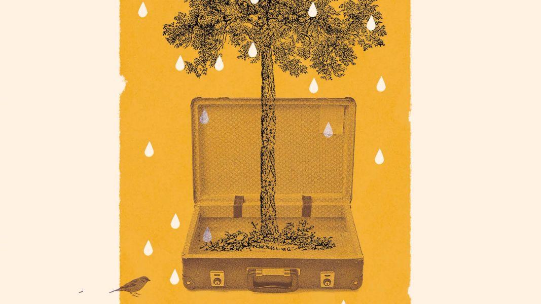 Entre el desmoronamiento y la memoria: “El hombre en el jardín”, de Gilma Luque