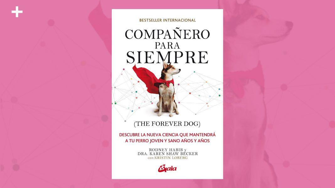 Cuidado con el perro