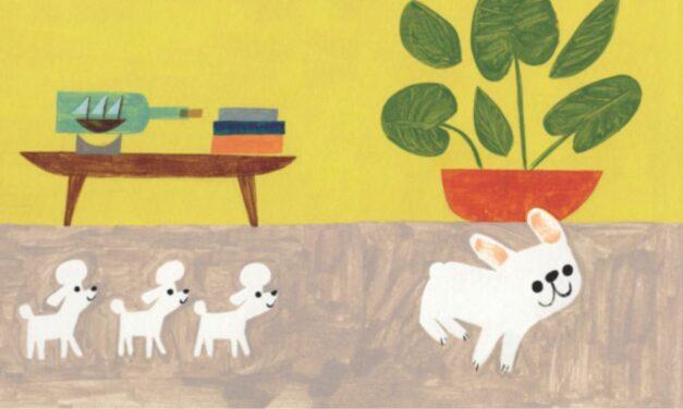 Gaston: un cachorro que rompe moldes y encuentra su lugar