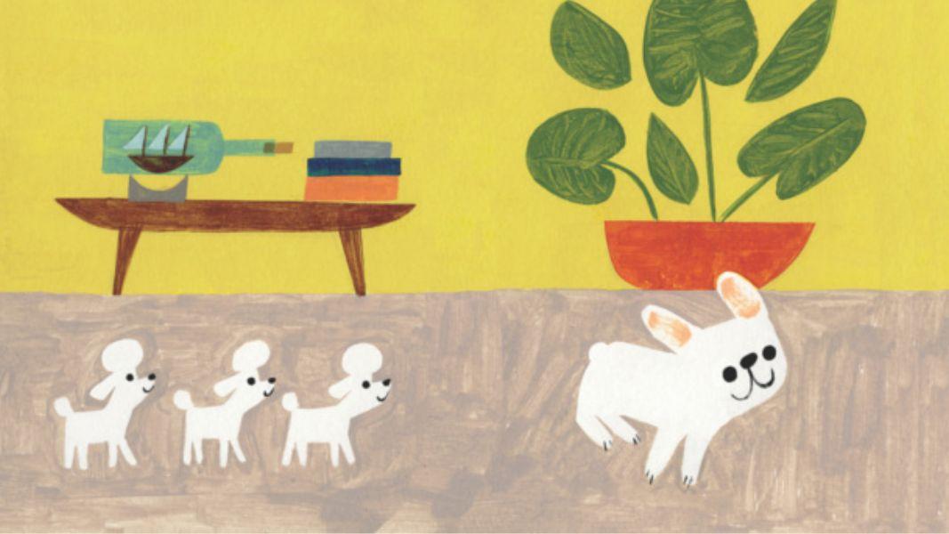 Gaston: un cachorro que rompe moldes y encuentra su lugar