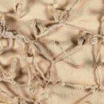 Marta Palau: los hilos de la tierra y el exilio