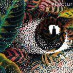 La voz que nace de la oscuridad: Pilar Quintana sobre “Noche negra”