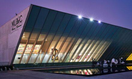 El MUAC abre 2026 con una mirada crítica al pasado reciente y una agenda atravesada por la ecología