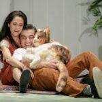 La coreografía del afecto: Cati, Catalina, Calicó… o la maravillosa vida de la niña gato