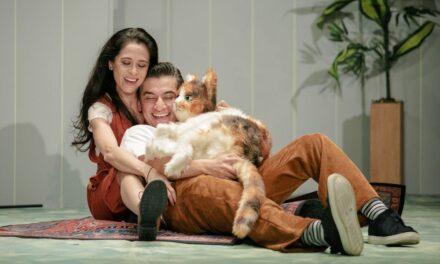 La coreografía del afecto: Cati, Catalina, Calicó… o la maravillosa vida de la niña gato