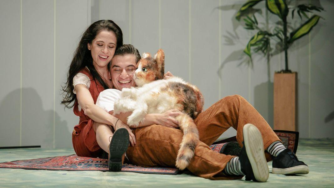 La coreografía del afecto: Cati, Catalina, Calicó… o la maravillosa vida de la niña gato