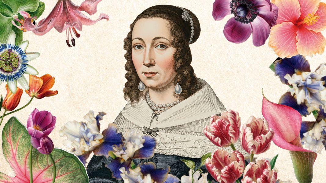 Maria Sibylla Merian, la guardiana de las mariposas