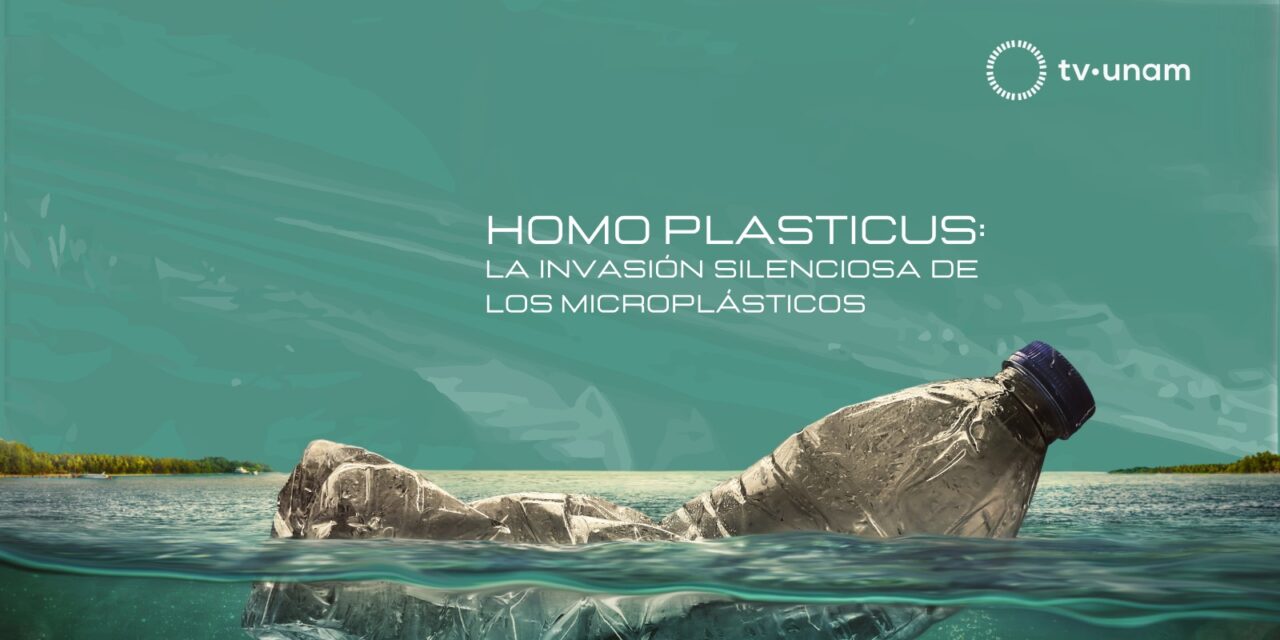 El impacto invisible de los microplásticos