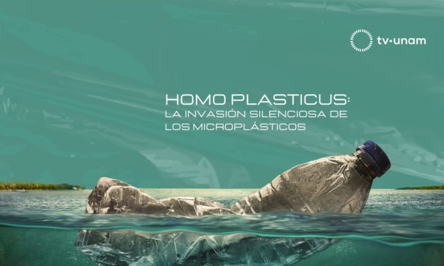 El impacto invisible de los microplásticos
