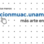 Más de 400 artistas, un solo hogar: coleccionmuac.unam.mx